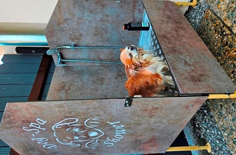 Dog Spa