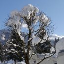 2Winter036