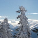 winter-20