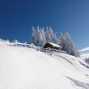 winter-22