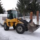 sclepp-service